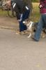 dsc_1721.jpeg